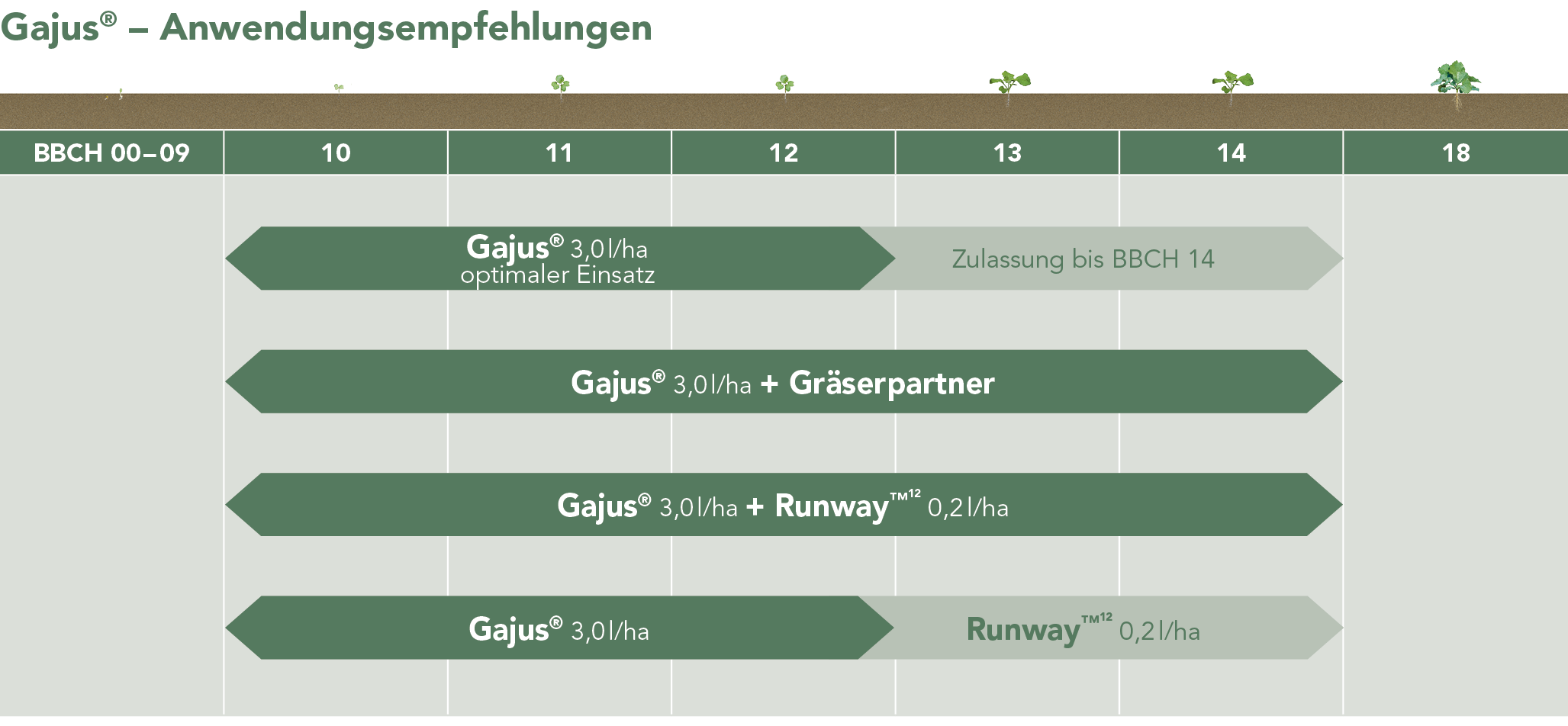 Gajus® – Anwendungsempfehlungen