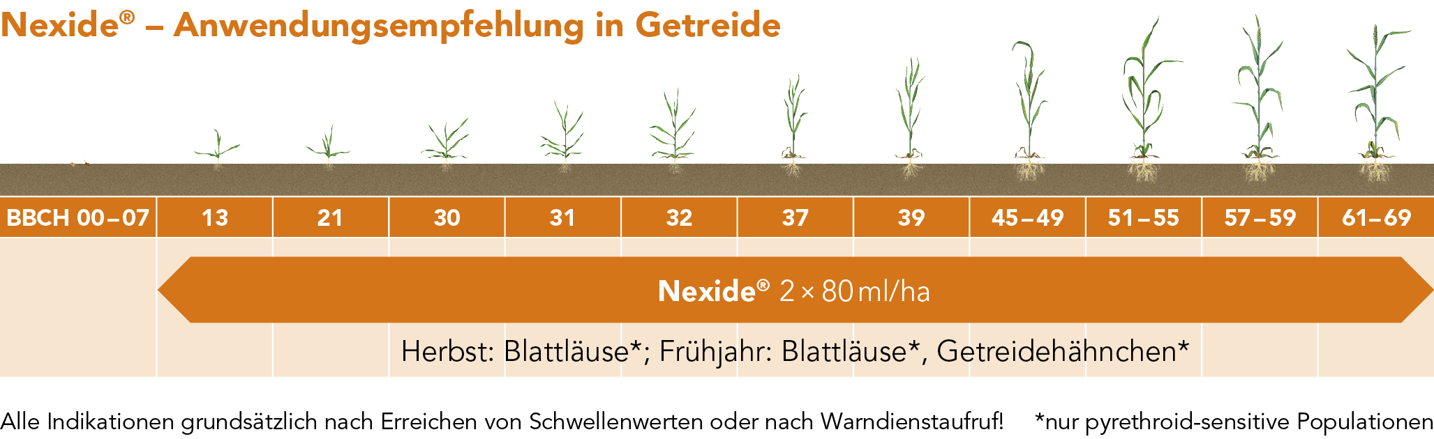 Nexide® – Anwendungsempfehlung in Getreide