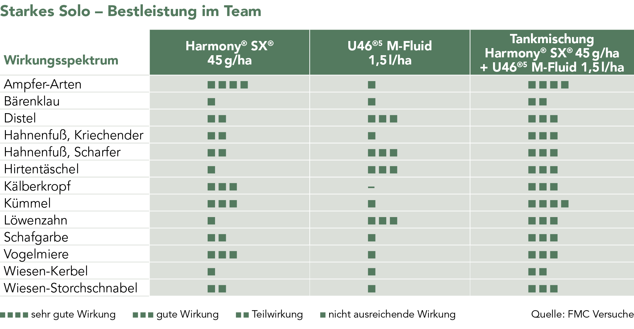 Starkes Solo – Bestleistung im Team