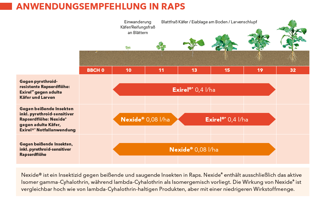Anwendungsempfehlung im Raps