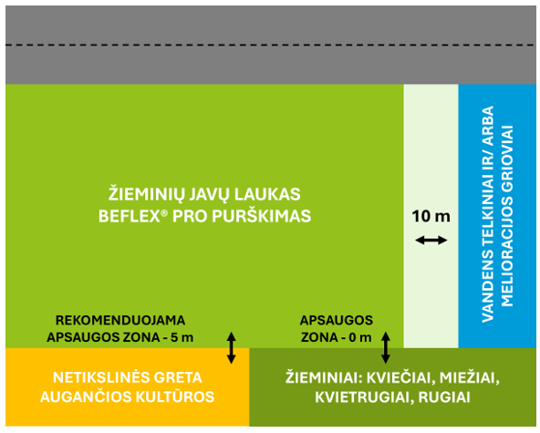 Beflex PRO atsakingas naudojimas