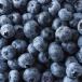 Blueberries
