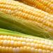 sweet corn