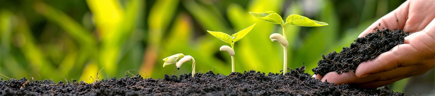 Protect your crop