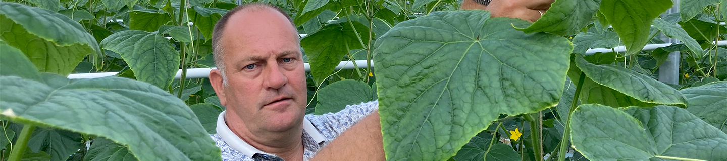 Komkommerteler Martin de Hoog enthousiast over Verimark