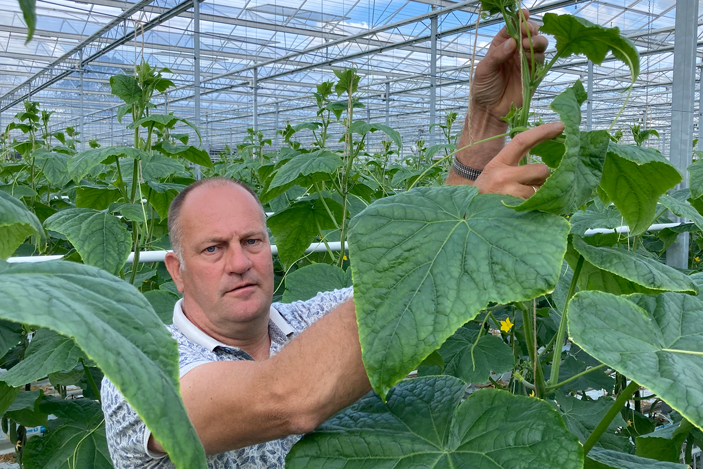 Komkommerteler Martin de Hoog enthousiast over Verimark