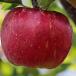 appel