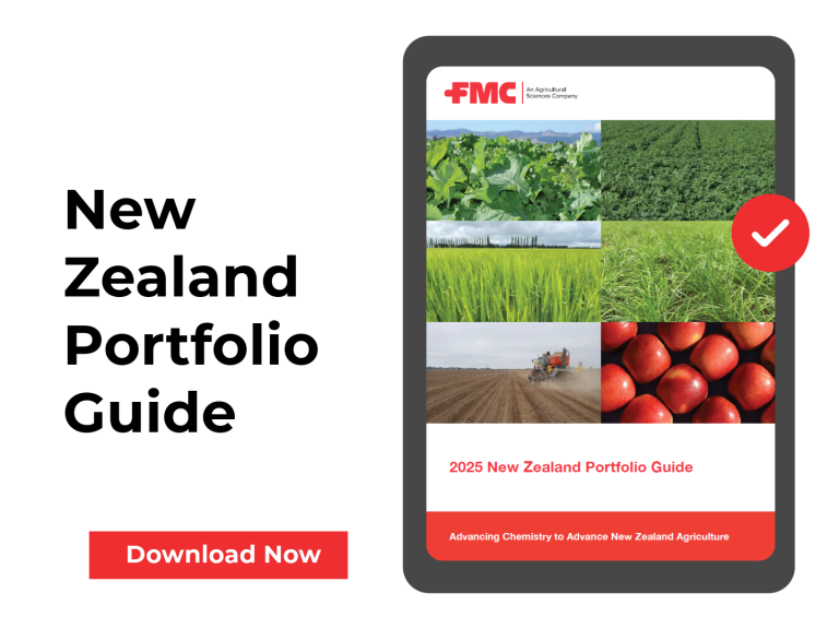 NZ Portfolio Guide