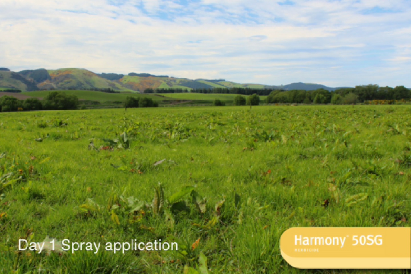 Harmony® 50SG Herbicide