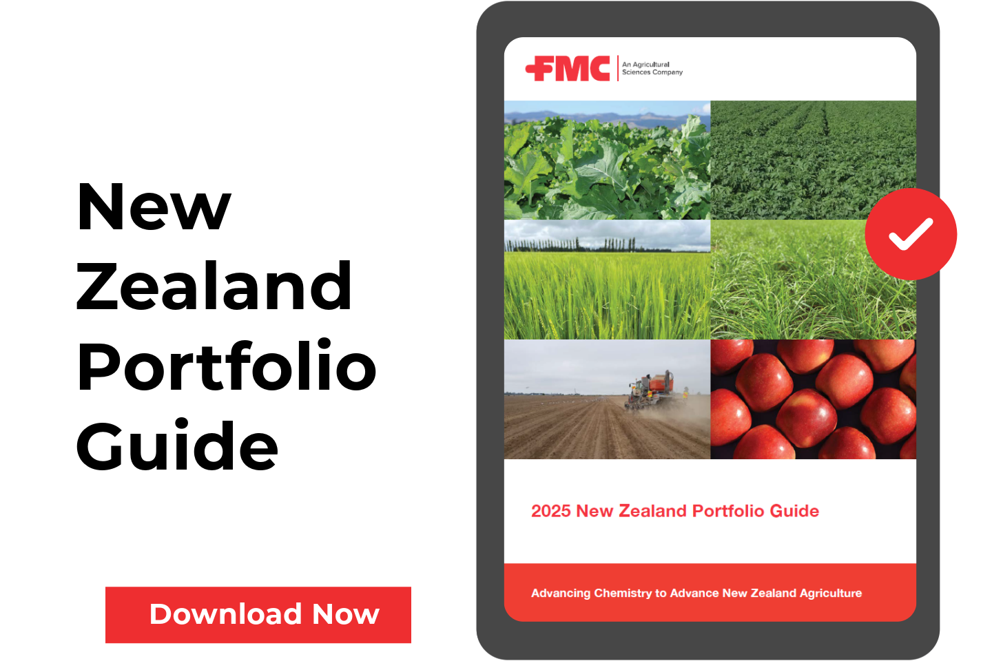 NZ Portfolio Guide