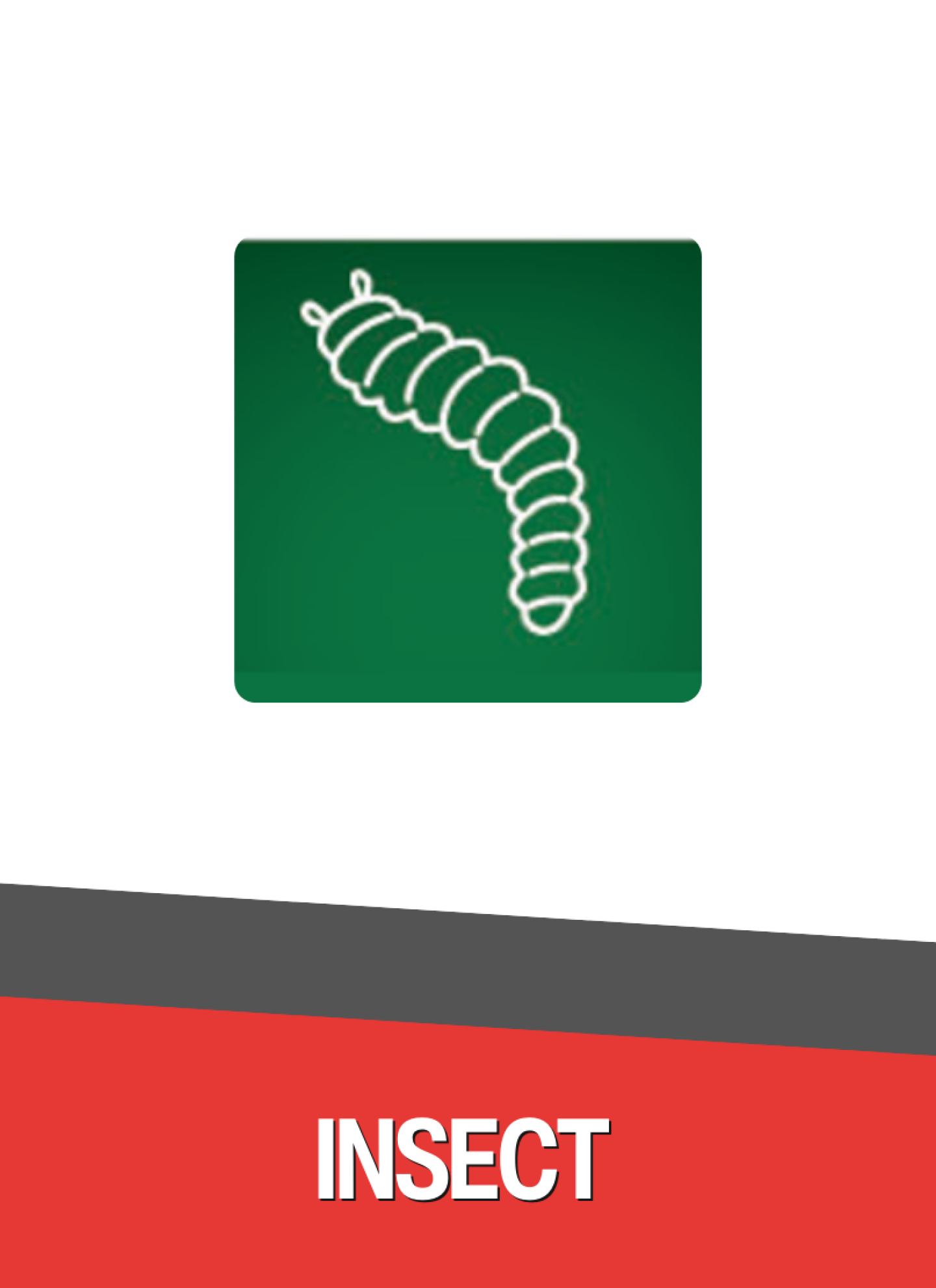 Insect Control