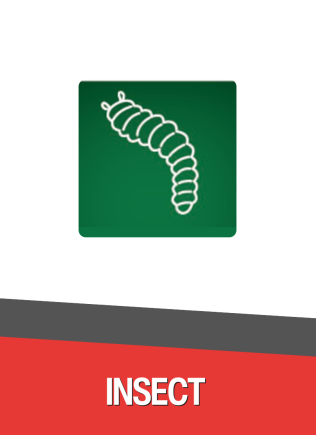 Leaffolder_Stemborer_Cecid Fly_Thrips_Corn Borer_Nametodes