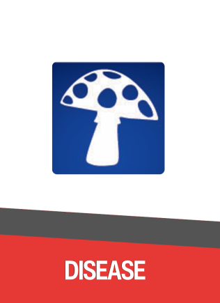 Fungicide_Pesticide_Gezeko 75WG_Rovral 50WP_Ortiva Top 325SC