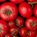 A bushel of tomatoes