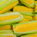 Corn_Mais_Maize