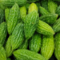 Ampalaya