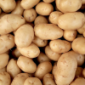 Patatas