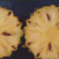 Fruitlet Core Rot (FCR)_Omega 45EW_Fungicide_Disease Control