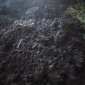 Soil Acidification_Attract_Fertilizer