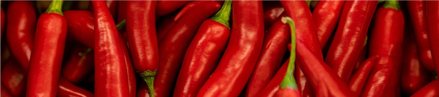 Chili plant