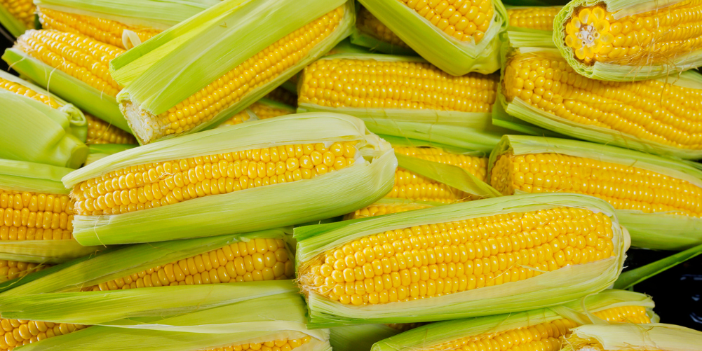 Corn