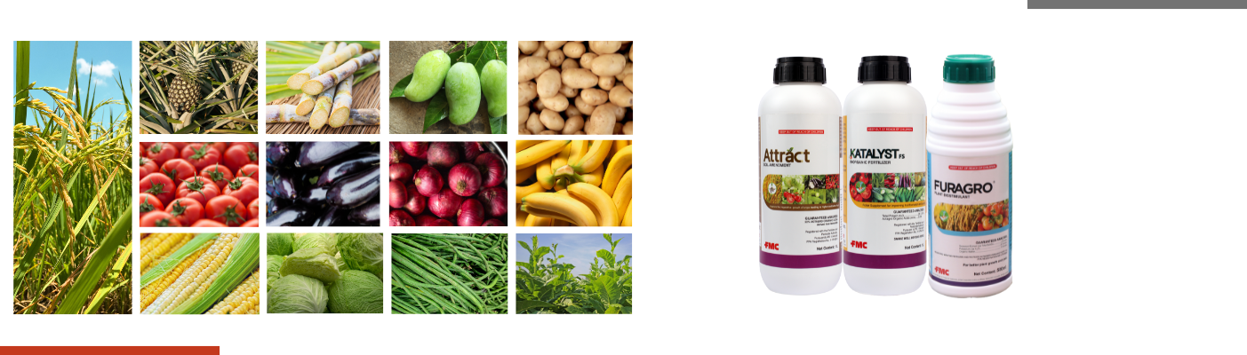 Fertilizer
