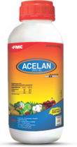 Acelan
