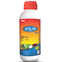 acelan