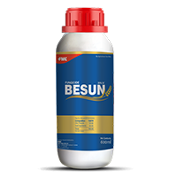 Besun