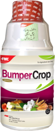 Bumper Crop
