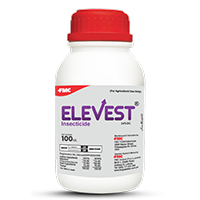 elevest