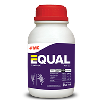 Equal