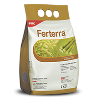 ferterra