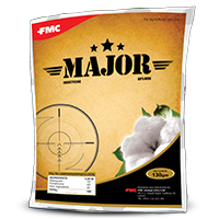 major