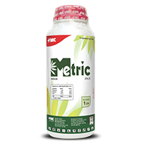 Metric