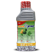 Novastar