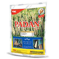padan