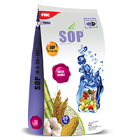 SOP