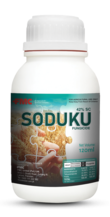 Soduku