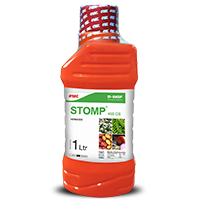 Stomp