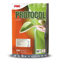 protocol