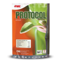 Protocol