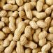 Peanut