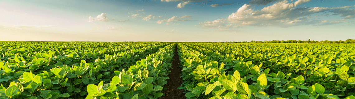 Herbicides