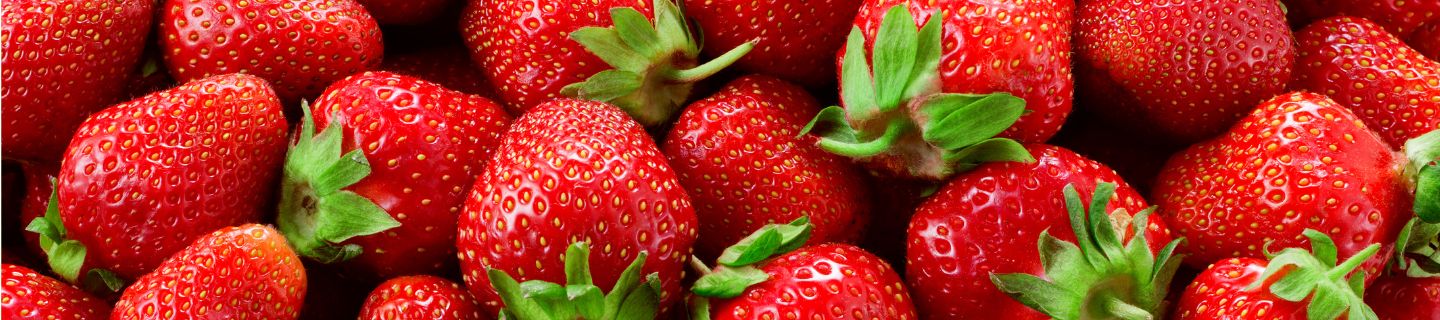 Konferencja „Praktycznie o Truskawkach… i nie tylko” 