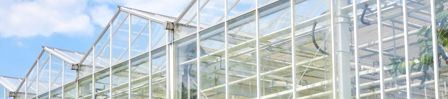 Produkt Verimark® z nową rejestracją w szklarniach!