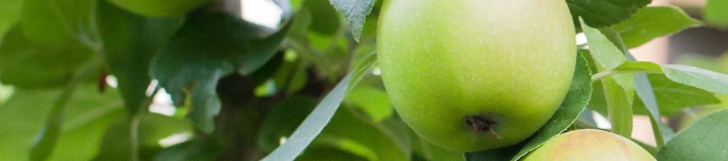 Coragen® 200 SC - ETYKIETA