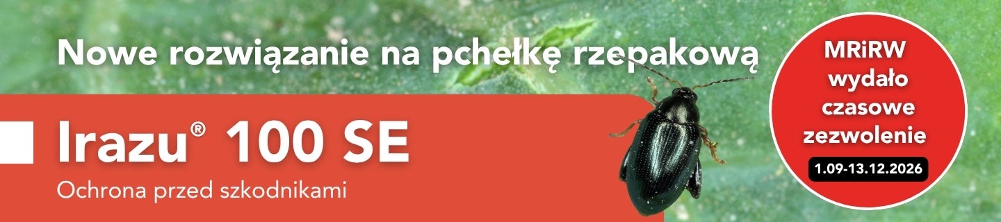 Irazu® 100 SE na pchełkę rzepakową w rzepaku ozimym