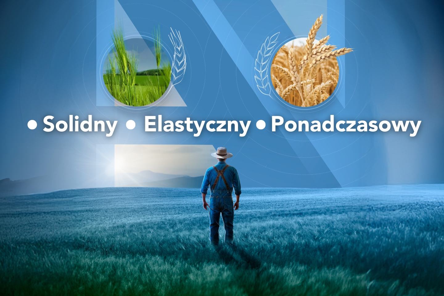 Avtar™ – nowy fungicyd w portfolio FMC Agro Polska 