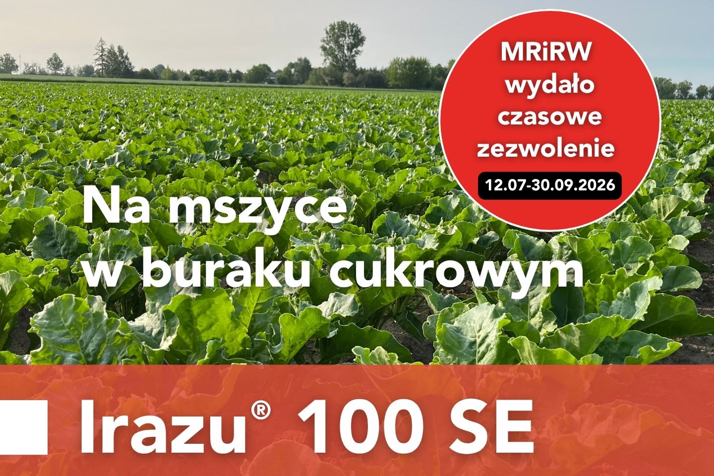 Irazu® 100 SE - zezwolenie na mszyce